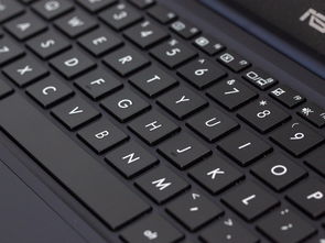 绚丽出彩 华硕e202s多彩轻薄便携本图赏